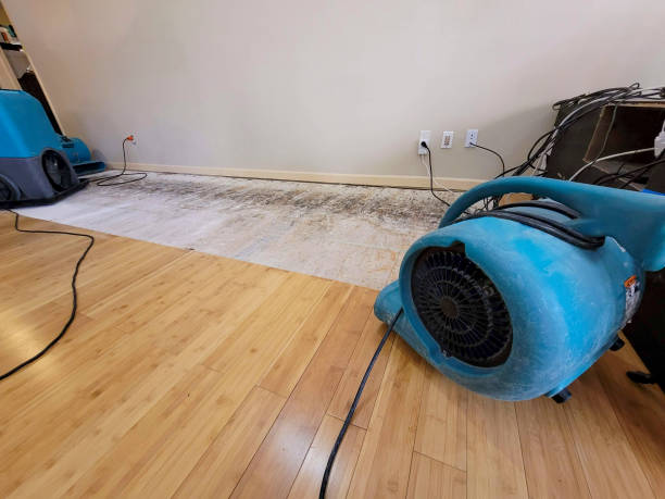 Professional Ceiling Water Damage Repair technician working in Mineola, NY